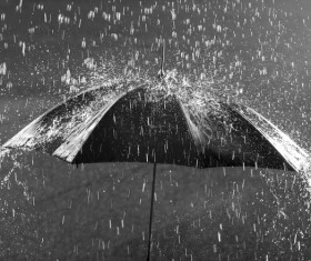 Umbrella in the rain Stock Photo 02