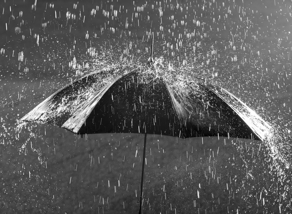 Umbrella in the rain Stock Photo 02