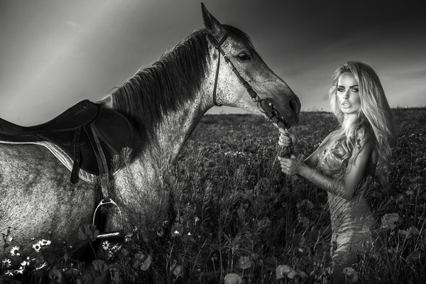 Woman and horse standing in the grass Stock Photo