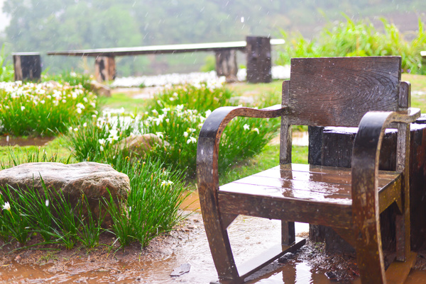 Wooden chair in the garden in the rain Stock Photo