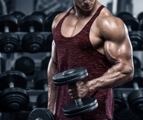 Young people who like fitness Stock Photo 03