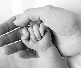 hands close up Stock Photo 06