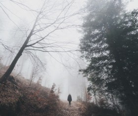 person walking on empty misty pathway Stock Photo