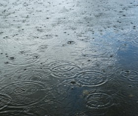 raindrop Stock Photo