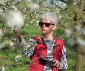Agronomist farmer checking fruit trees Stock Photo