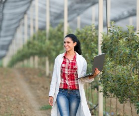 Agronomist in greenhouse Stock Photo