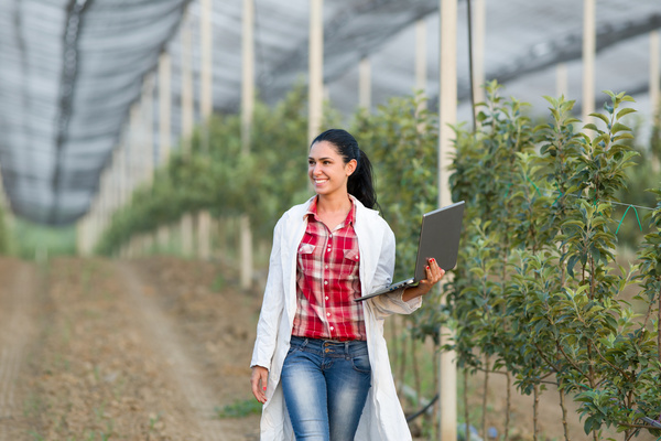 Agronomist in greenhouse Stock Photo