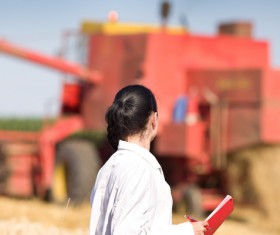 Agronomist looking at the harvest of crops Stock Photo