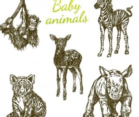 Baby animal hand drawn vector