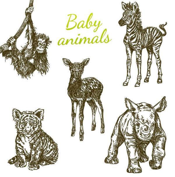 Baby animal hand drawn vector free download