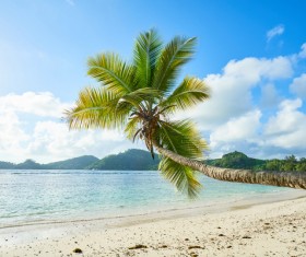 Beautiful resort tropical island Stock Photo 01