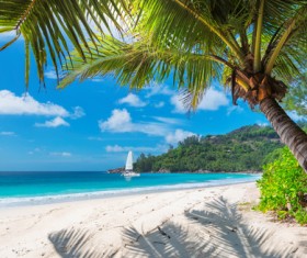 Beautiful resort tropical island Stock Photo 02