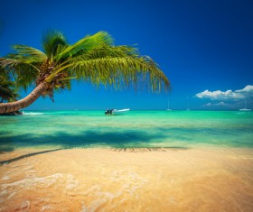 Beautiful resort tropical island Stock Photo 04