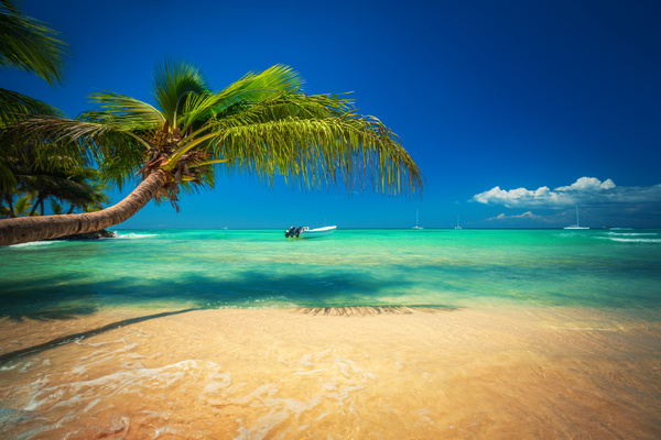 Beautiful resort tropical island Stock Photo 04