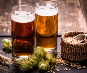 Beer and wheat on the desktop Stock Photo 01