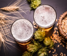 Beer and wheat on the desktop Stock Photo 02