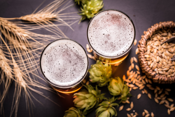 Beer and wheat on the desktop Stock Photo 02