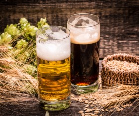 Beer and wheat on the desktop Stock Photo 03