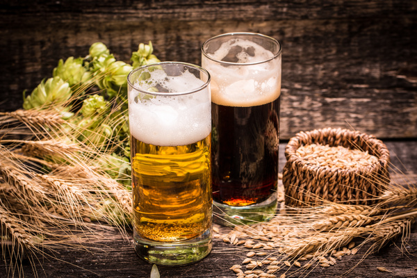 Beer and wheat on the desktop Stock Photo 03