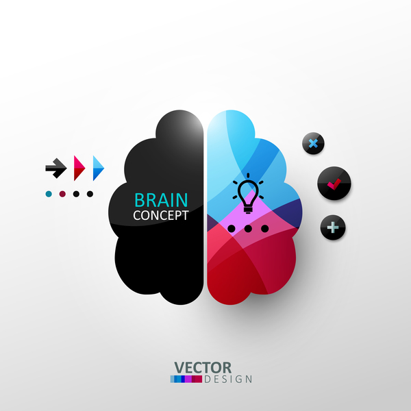 Brain concept infographic vectors