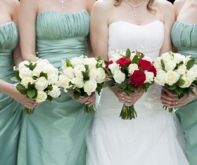 Bride and bridesmaid holding bouquet Stock Photo 04