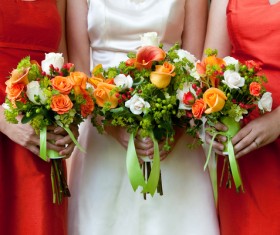 Bride and bridesmaid holding bouquet Stock Photo 06