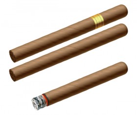 Cigar illustration vector
