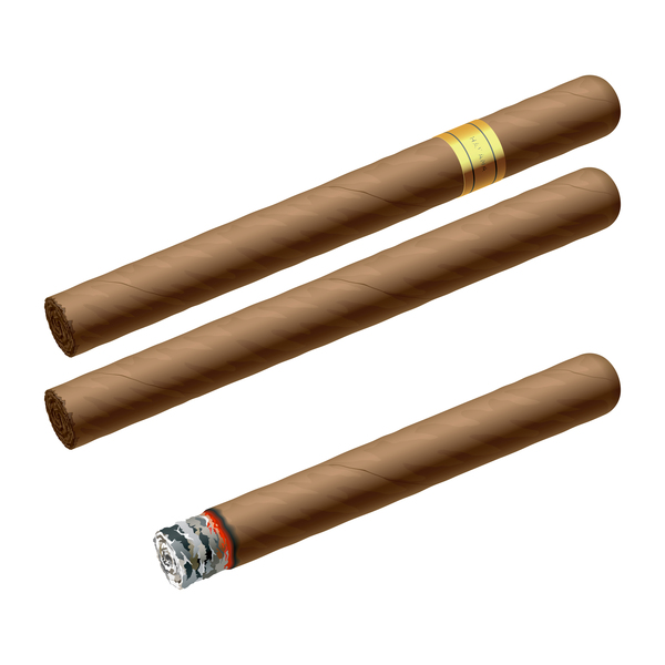 Cigar illustration vector