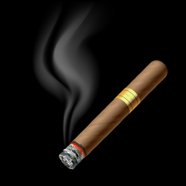 Cigar with black background vector