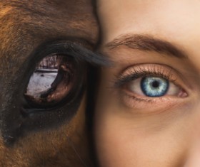 Closeup human eye and horse eye Stock Photo