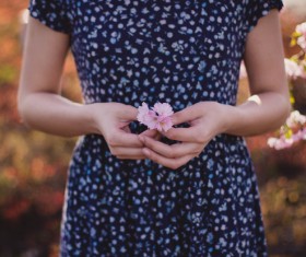 Closeup of small flower holding in hands Stock Photo