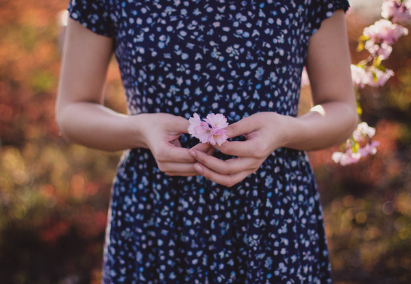 Closeup of small flower holding in hands Stock Photo