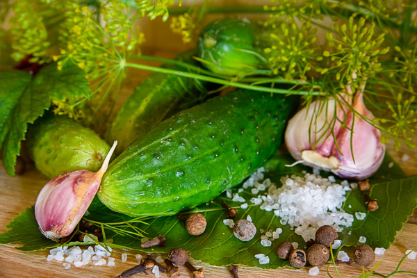 Cucumber garlic and spices on the desktop Stock Photo 01