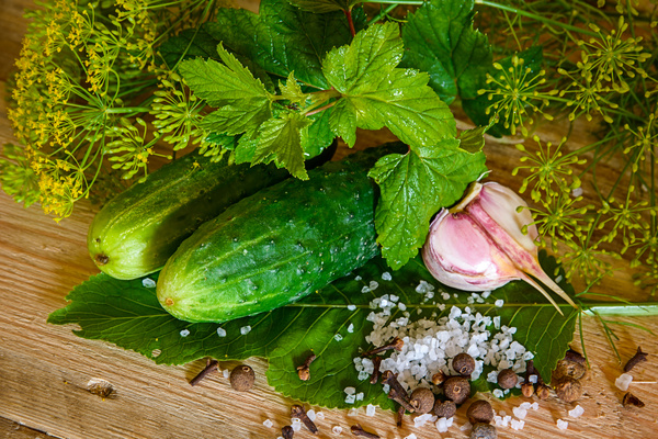 Cucumber garlic and spices on the desktop Stock Photo 02