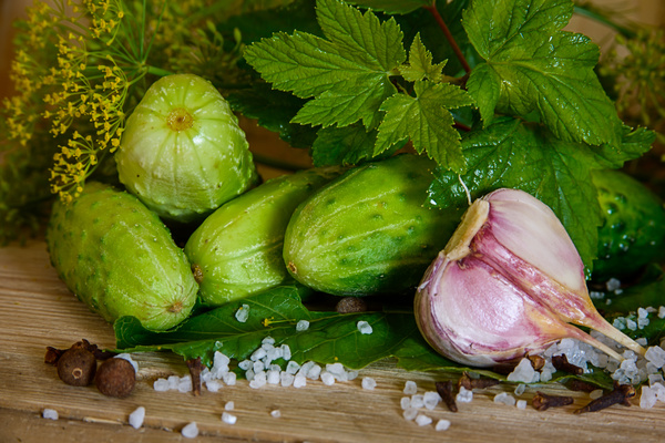 Cucumber garlic and spices on the desktop Stock Photo 04