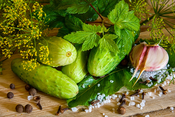 Cucumber garlic and spices on the desktop Stock Photo 05