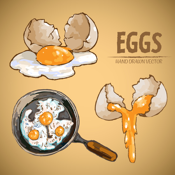 Egg cooking hand drawing vectors material 03