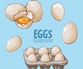 Egg hand drawing vectors set 01