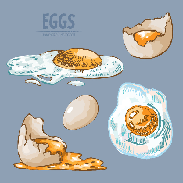 Egg hand drawing vectors set 05