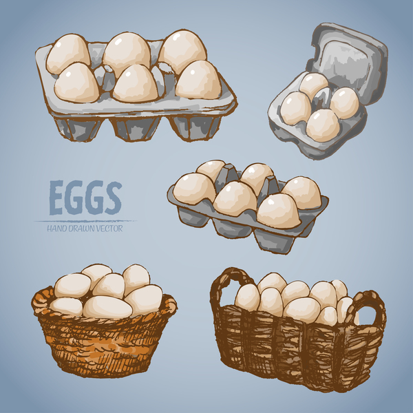 Egg hand drawing vectors set 06