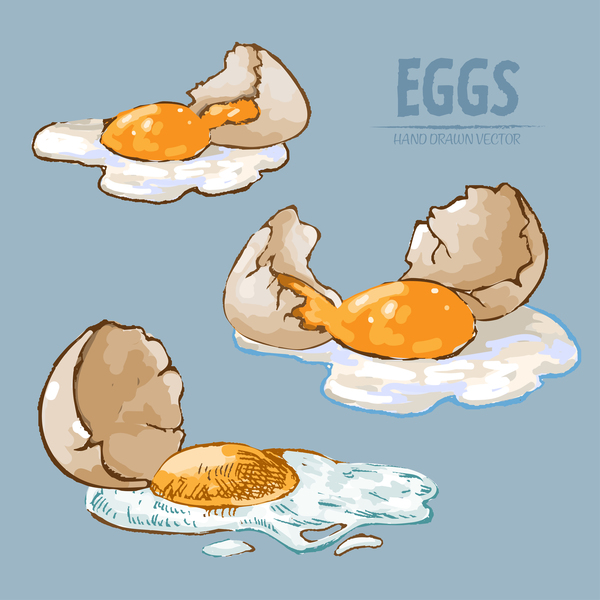 Egg hand drawing vectors set 07
