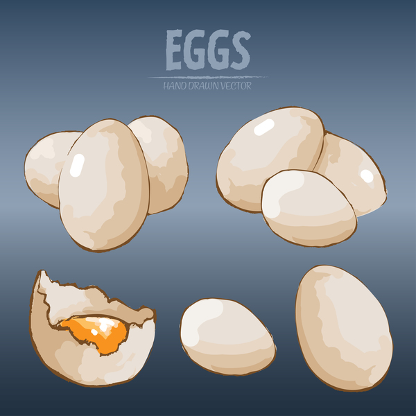 Egg hand drawing vectors set 09
