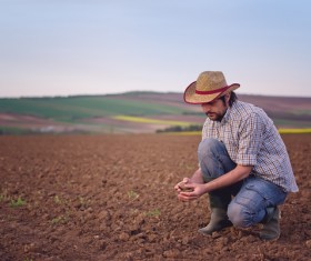 Farmer viewing the soil Stock Photo