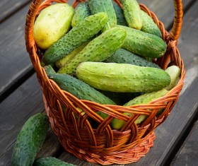 Fresh cucumbers on the table Stock Photo