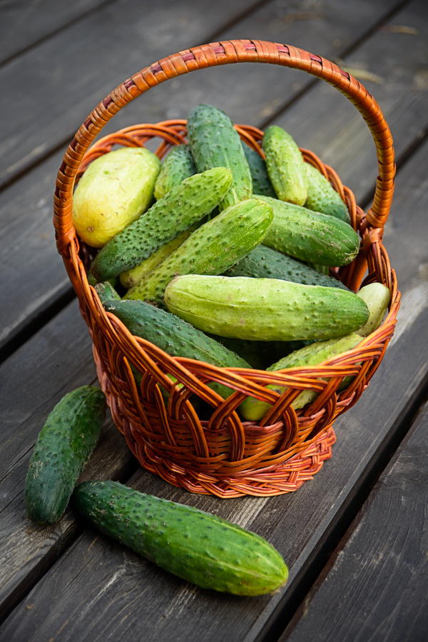 Fresh cucumbers on the table Stock Photo