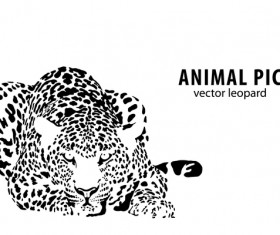 Hand drawn leopard vector illustration 01