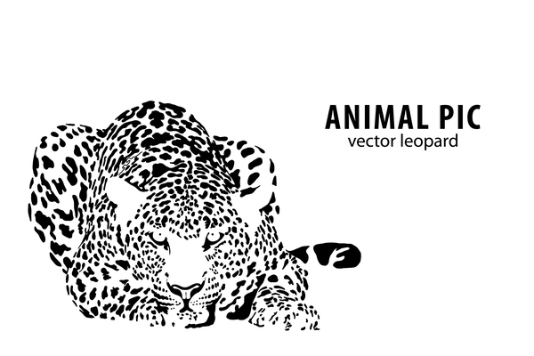 Hand drawn leopard vector illustration 01