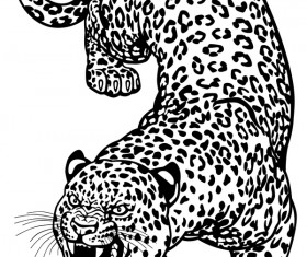 Hand drawn leopard vector illustration 03