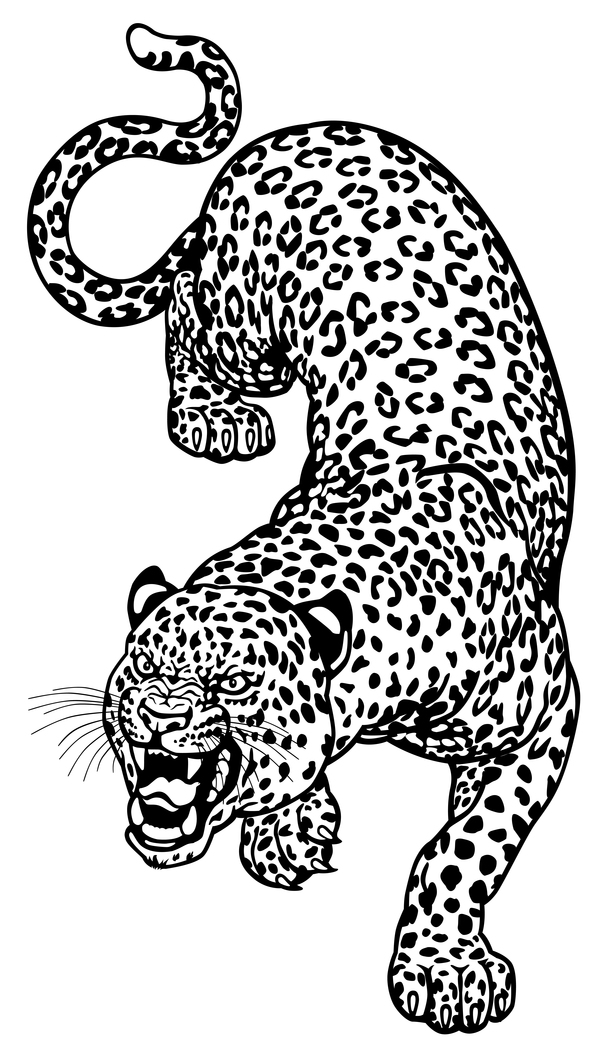 Hand drawn leopard vector illustration 03 free download