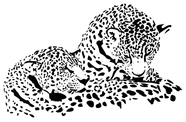 Hand drawn leopard vector illustration 04